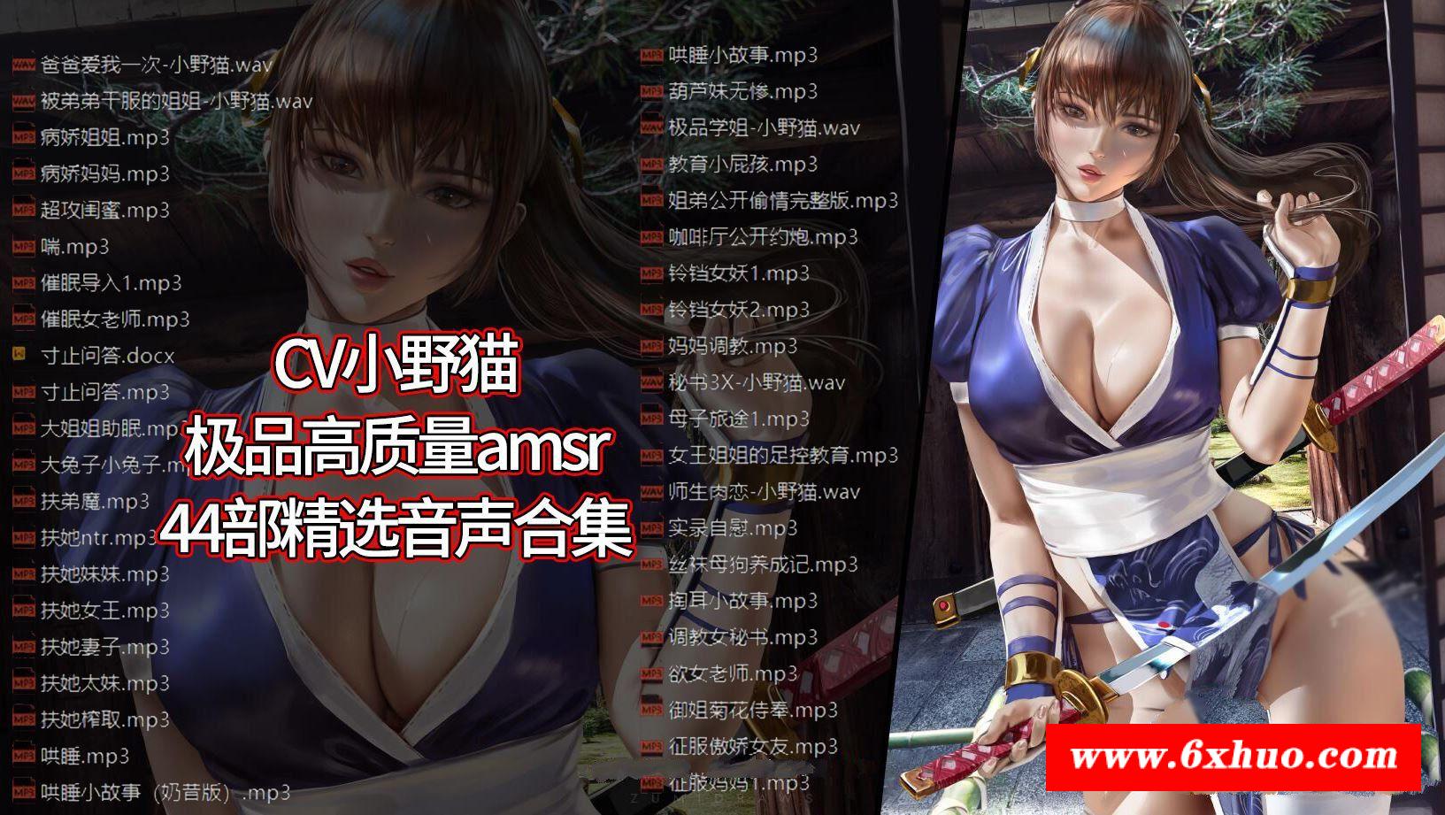 【极品AMSR/中文】CV小野猫：高质中文音声精选44部合集【1.9G/新作/中文配音】-开心广场